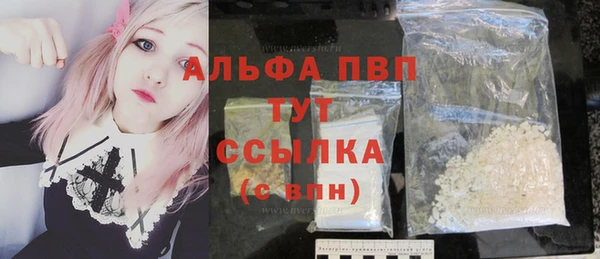 сатива Костерёво