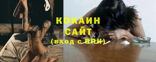 сатива Костерёво