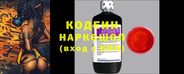 сатива Костерёво
