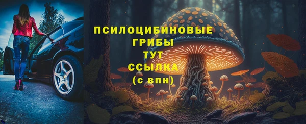 сатива Костерёво
