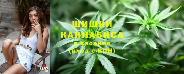 спиды Корсаков