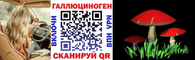 Галлюциногенные грибы GOLDEN TEACHER KRAKEN зеркало Реутов