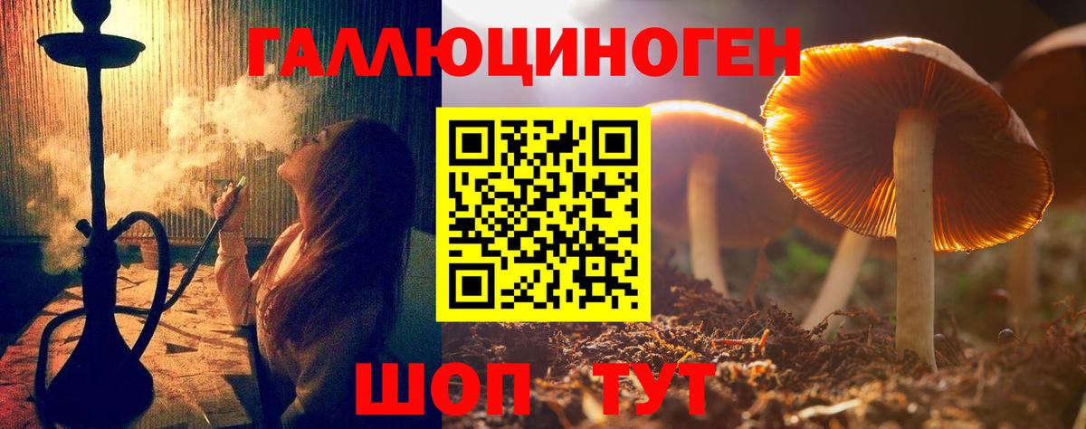 Псилоцибиновые грибы Psilocybine cubensis Реутов