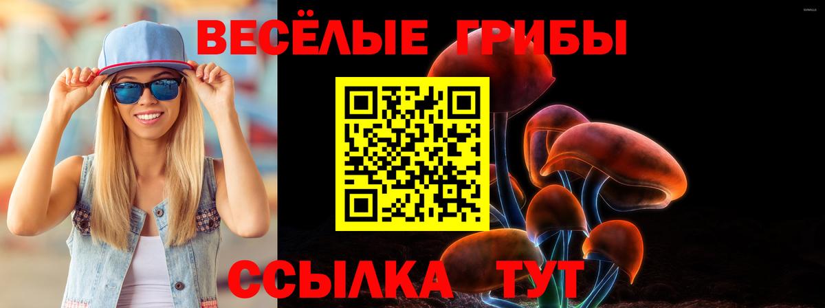 Псилоцибиновые грибы GOLDEN TEACHER  Вход с VPN  Реутов  Псилоцибиновые грибы мицелий 
